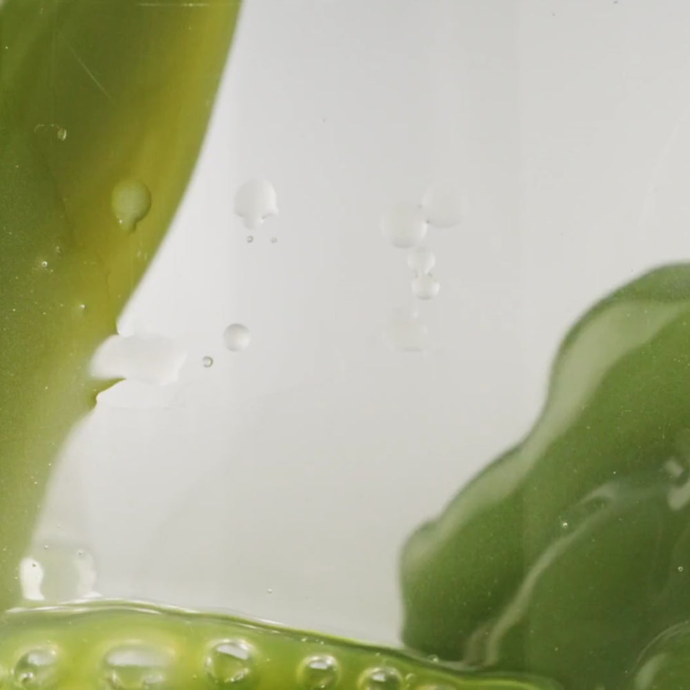 Shot green vitalité